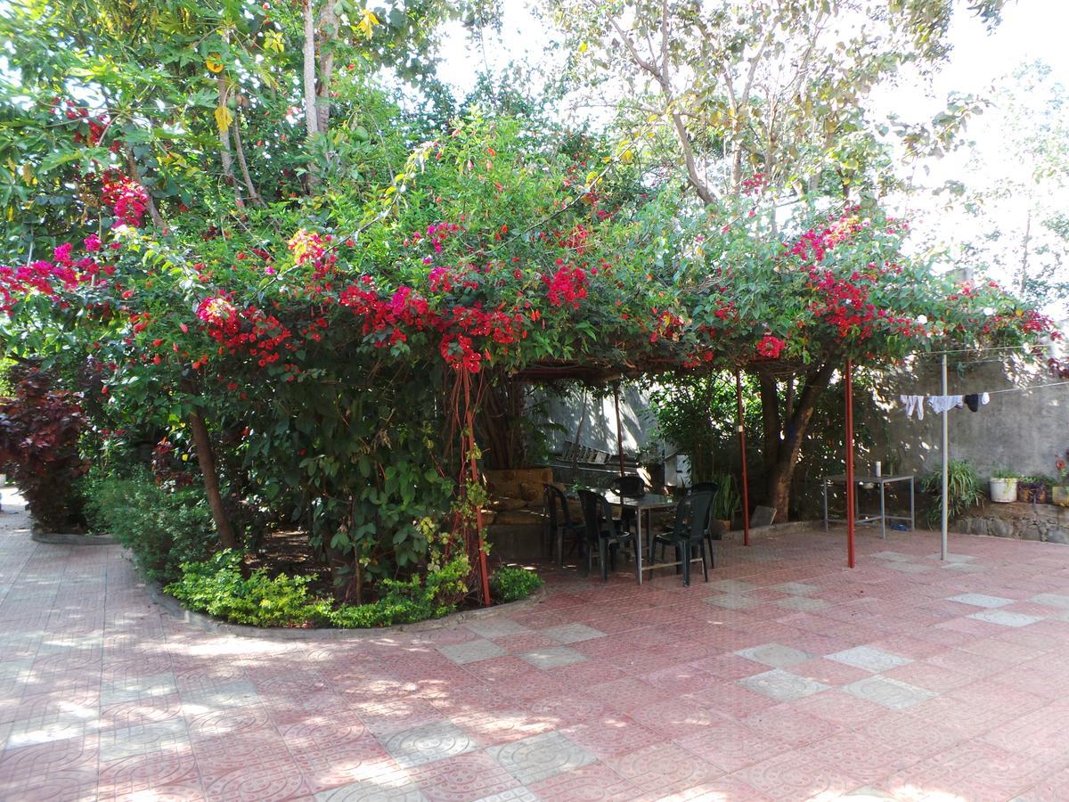 B&B The Annex Bahir Dar Buitenkant foto